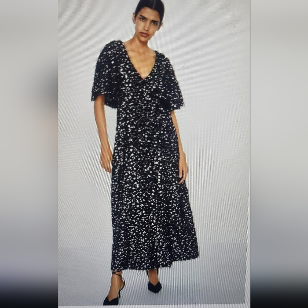 ZARA Limited Edition Silver Sequin & Pearls Dress